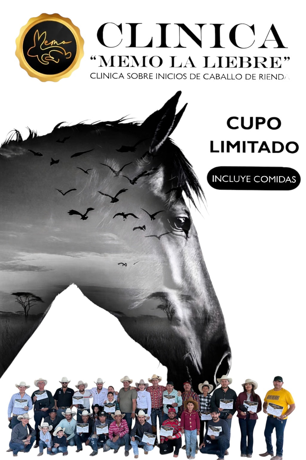 Reining Horse Clinic with Memo La Liebre