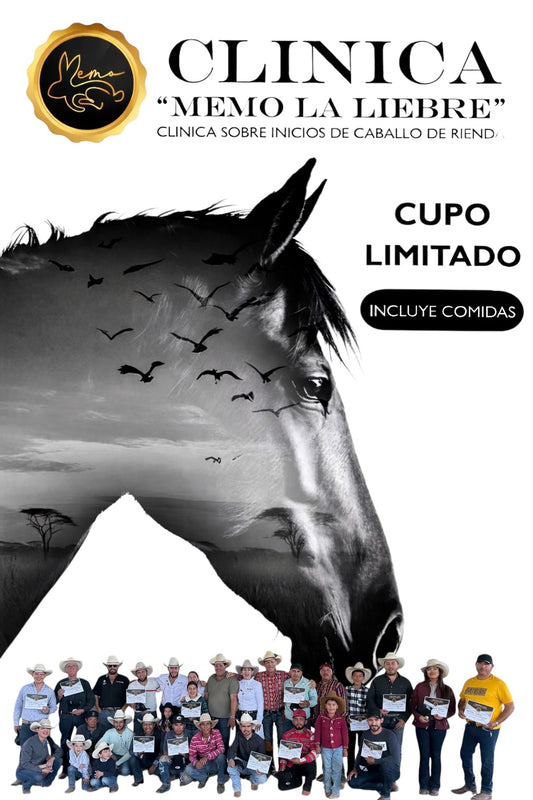 Reining Horse Clinic with Memo La Liebre
