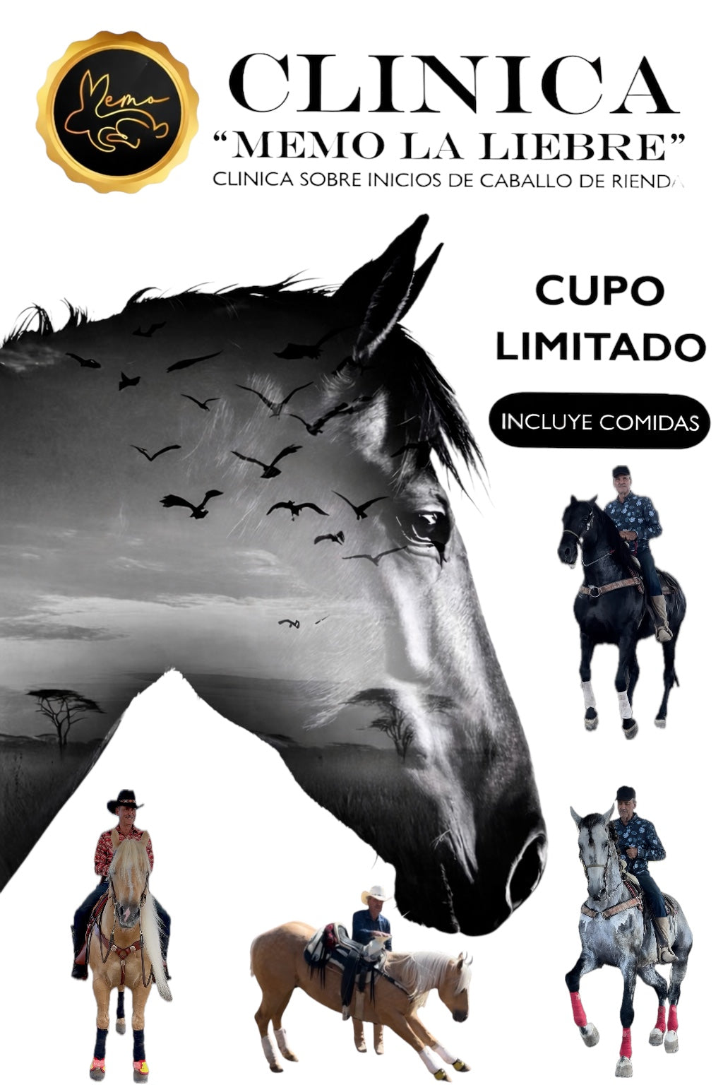 Reining Horse Clinic with Memo La Liebre